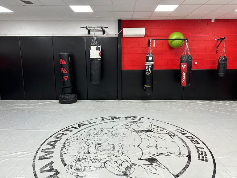 CHIMERA MARTIAL ARTS WORKOUT AREA​